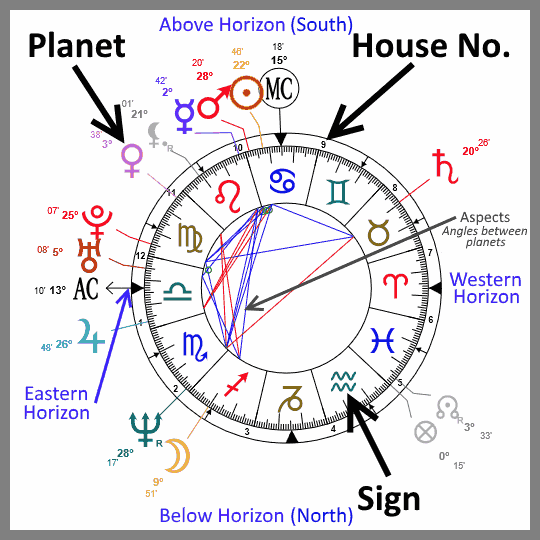 best astrologer in India