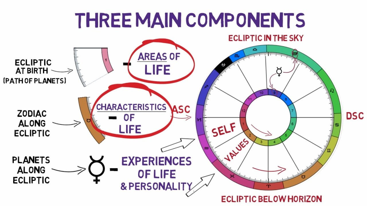 Basic Birth Chart Analysis by the Best Astrologer in Delhi