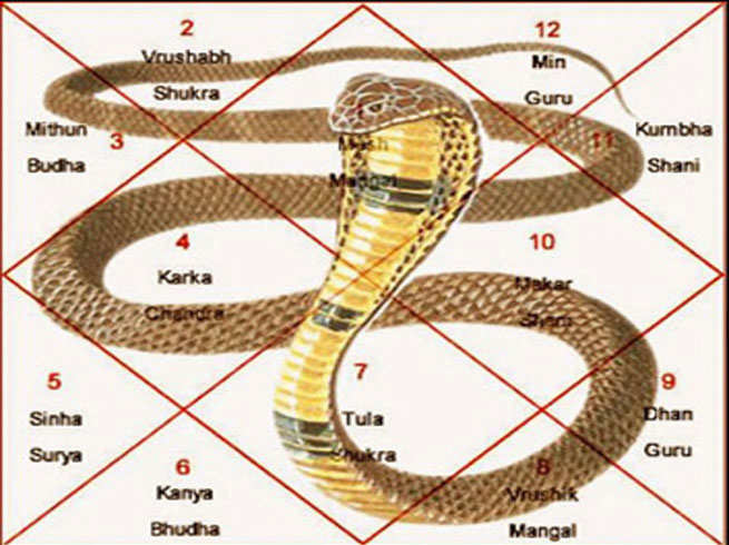 best astrologer in delhi