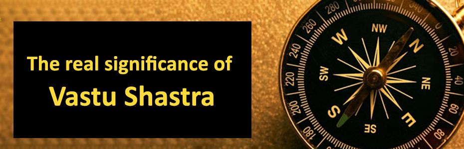 delhi astrologers