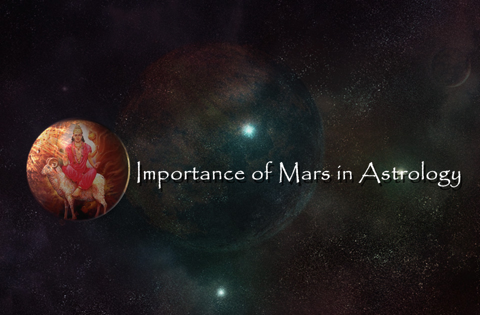 best astrolohger in delhi