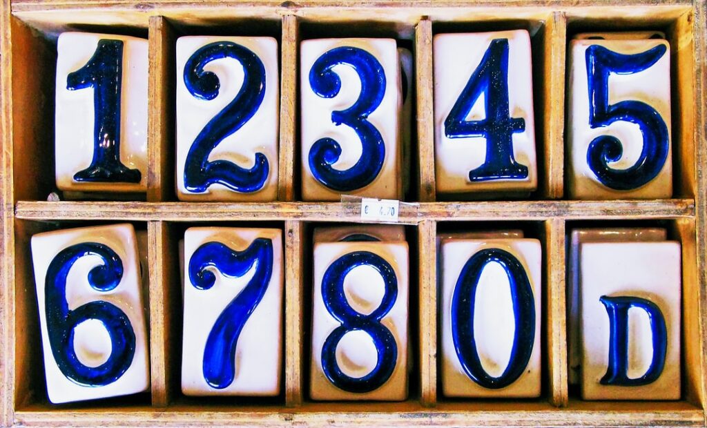 best numerologist in delhi