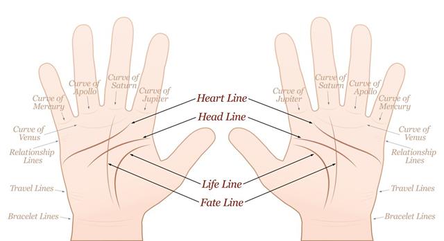 All You Need to Know about Palmistry