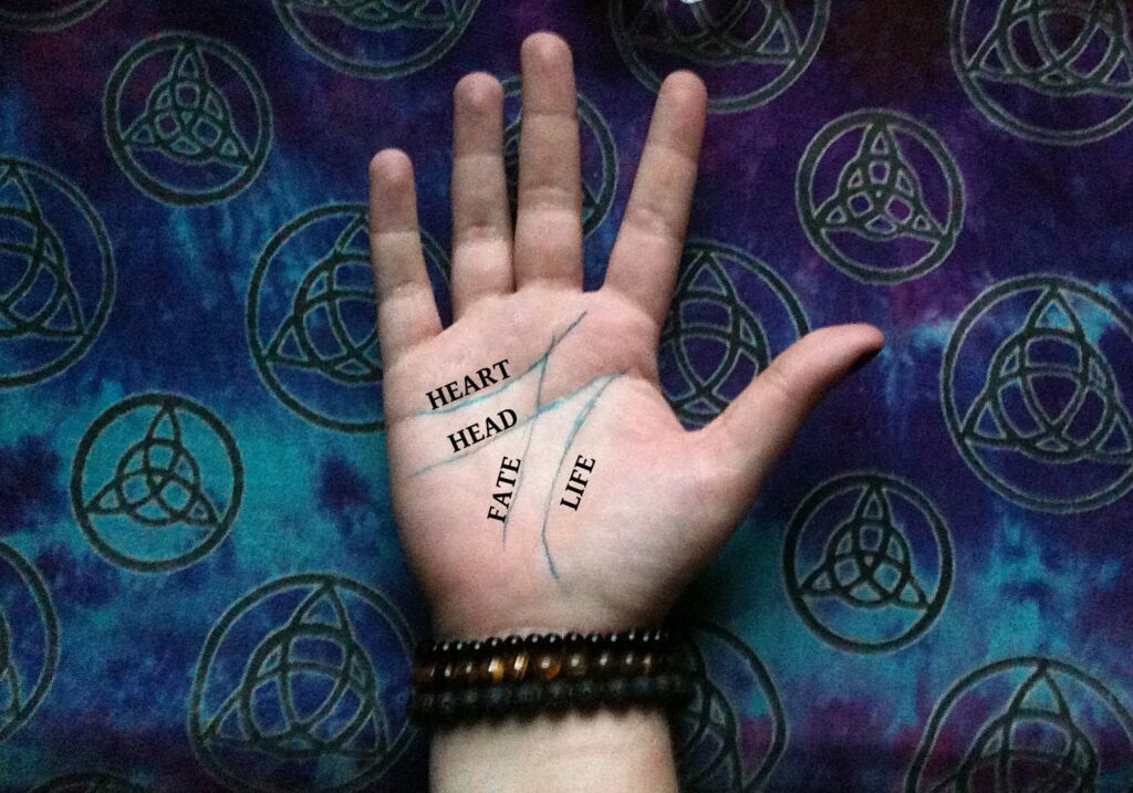 palmist in delhi