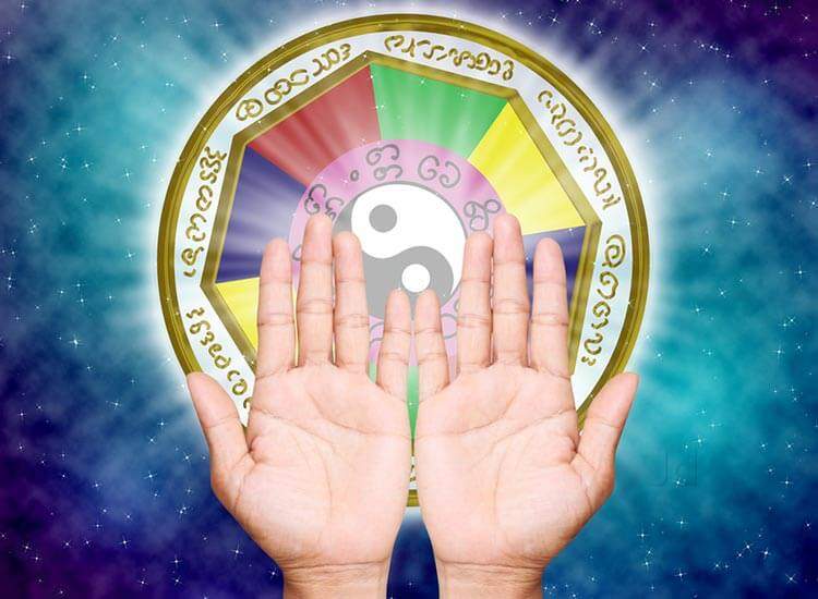 famous astrologer in delhi