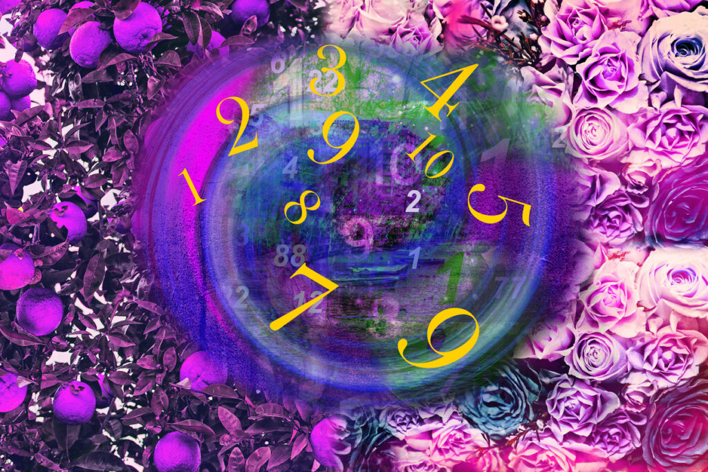 best astrologer in kolkata