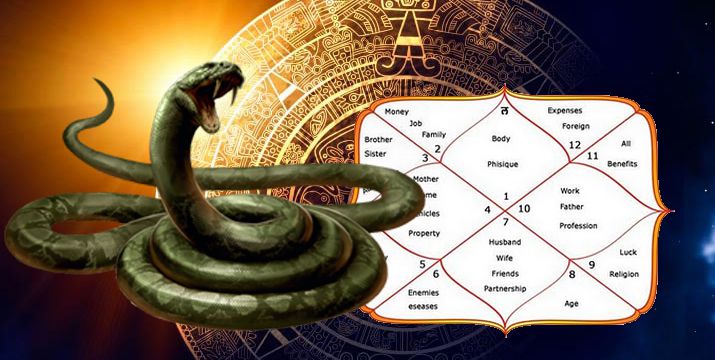 best astrologer in Kolkata