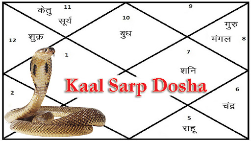 famous astrologer in kolkata