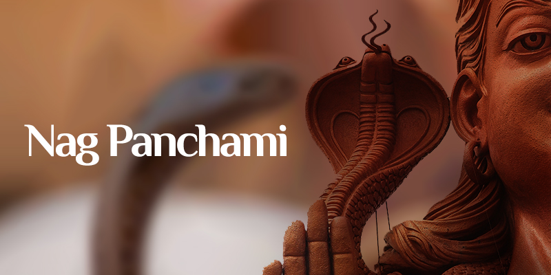 Astrological Effects on Nag Panchami According to Famous Astrologer in Kolkata