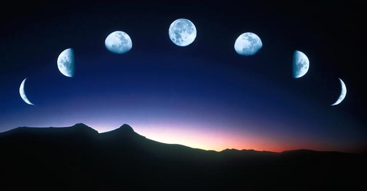 famous astrologer in India.
