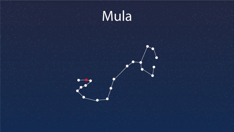 best astrologer in Kolkata.