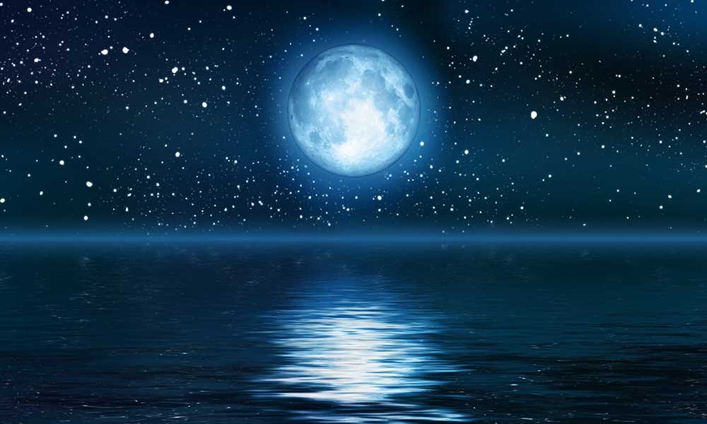 best astrologer in India