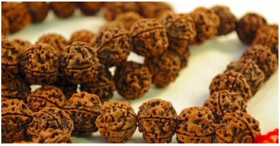 “Tears of Shiva”: The Celestial Effects of Rudraksha