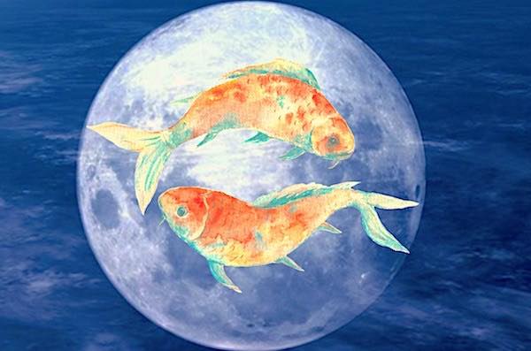 best astrologer in India
