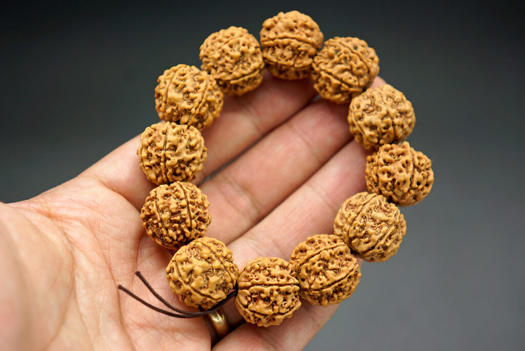 astrologer in India