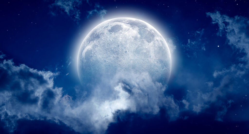 top astrologer in India
