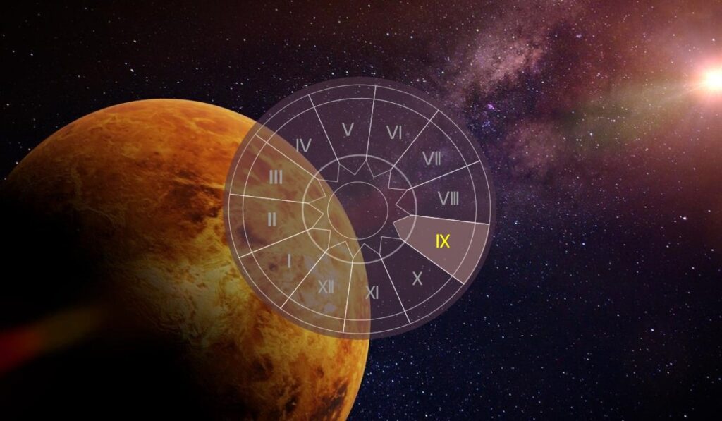 best astrologer in India