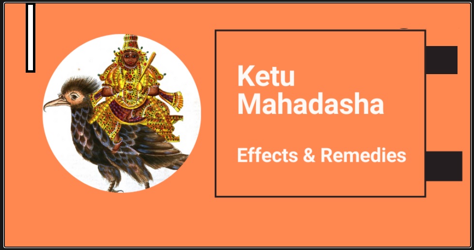 best astrologer in india