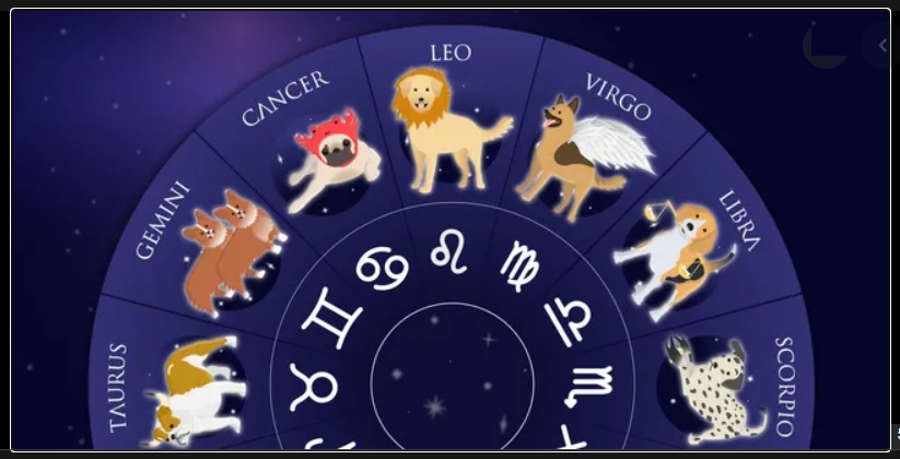 Pet Astrology: Are You And Your Pet Compatible?