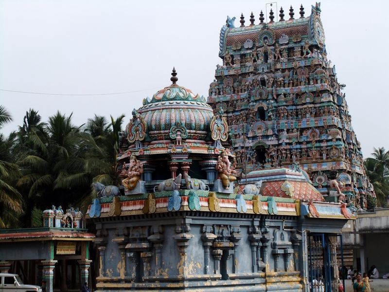 famous astrologer in Kolkata