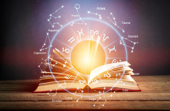 top astrologer in India