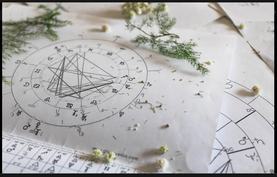 top astrologer in India