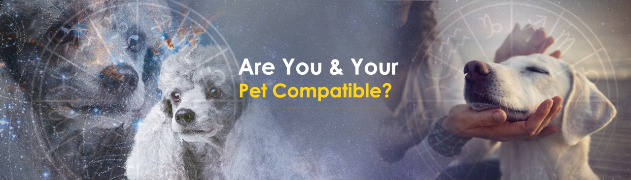 Are You And Your Pet Compatible?