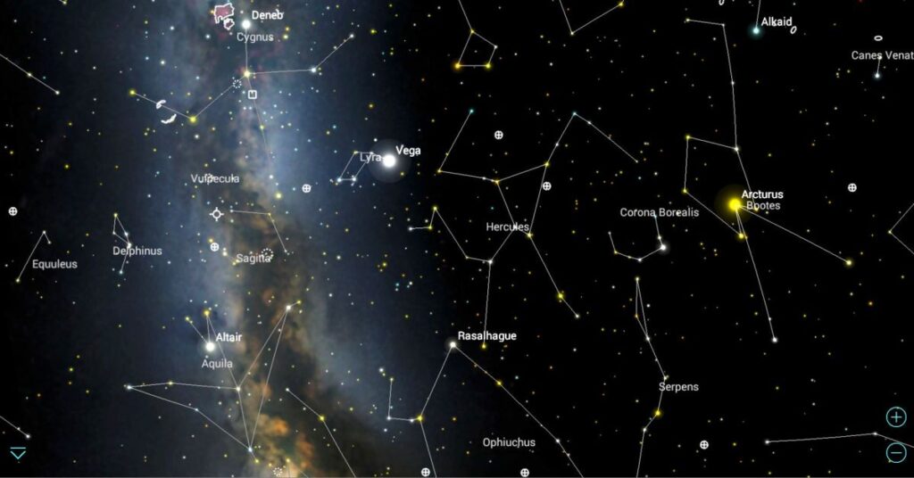 best astrologer in India
