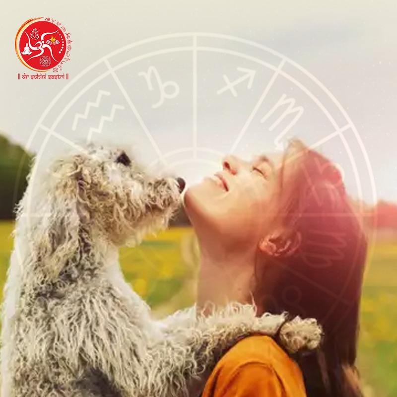 famous astrologer in India