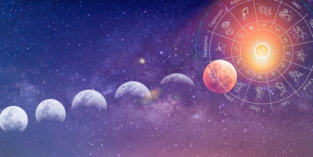 best astrologer in India