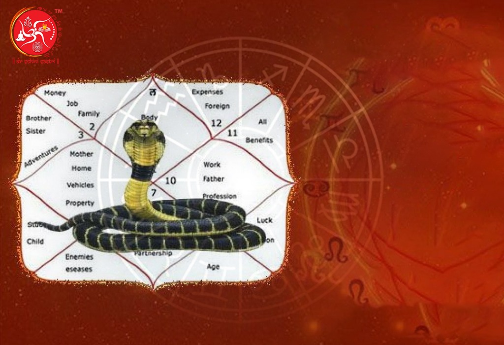 famous astrologer in India