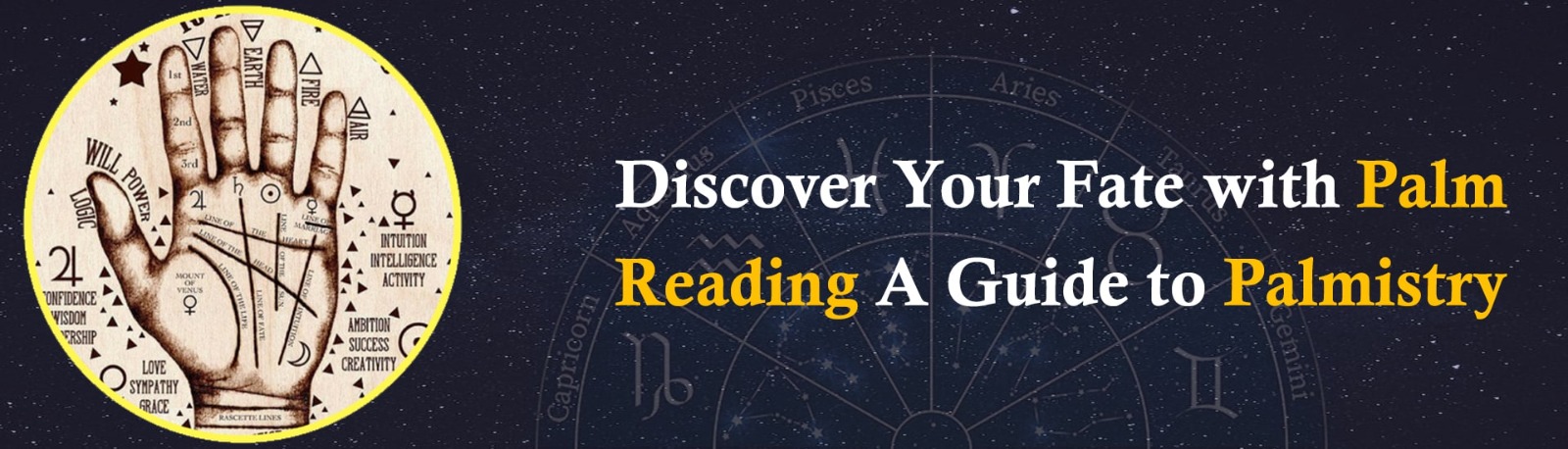 Discover Your Fate with Palm Reading: A Guide to Palmistry
