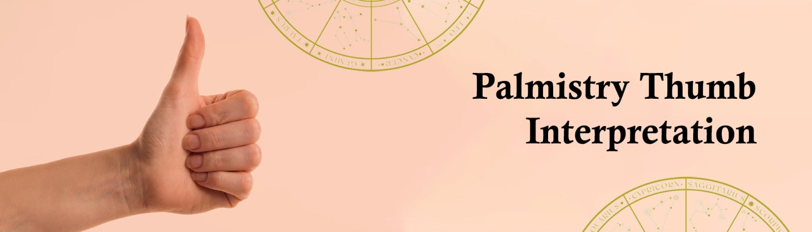 Palmistry Thumb Interpretation